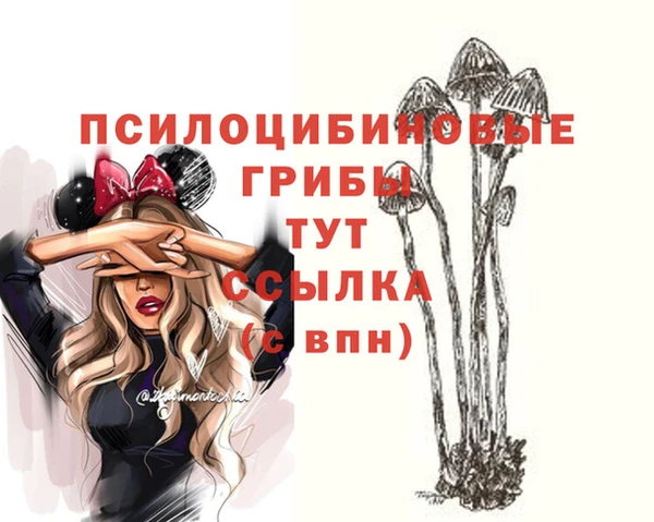 наркотики Алексеевка
